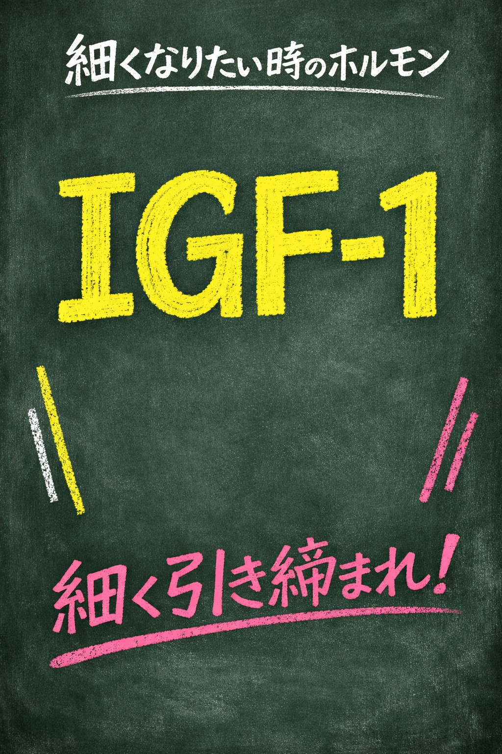 細くなりたい時に覚えておきたいホルモン